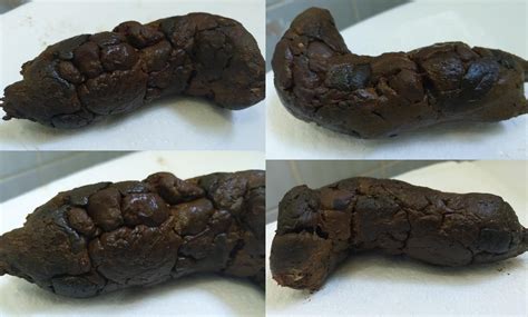 poop porn thisvid